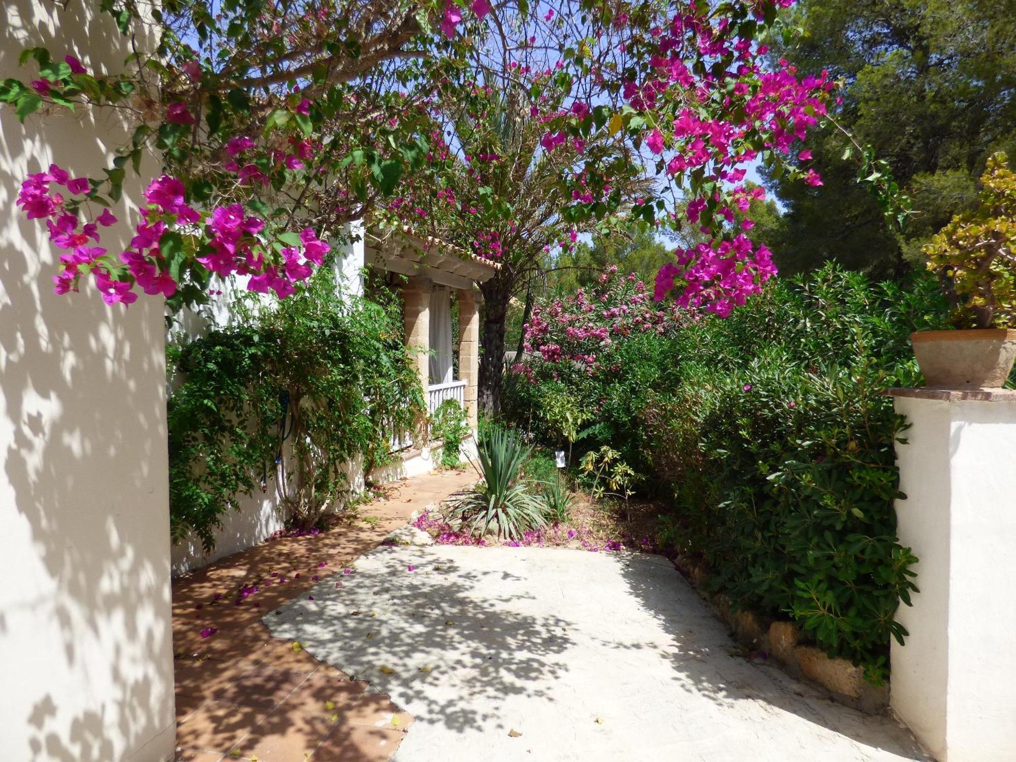 Villa Herdain Cielo de Bonaire Zewnętrze zdjęcie